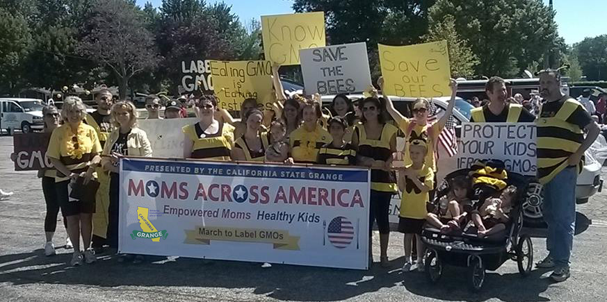 Arlington Heights, IL